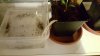 20160415_205908_resized.jpg