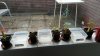 20160426_070919_resized.jpg