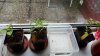 20160426_070941_resized.jpg
