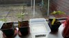 20160426_070934_resized.jpg