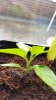 20160426_181137.jpg