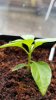 20160426_181124.jpg