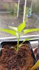 20160426_181112.jpg