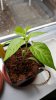 20160426_181107.jpg