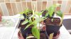 20160427_221813.jpg