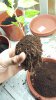 20160427_222244.jpg