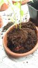 20160427_223723.jpg