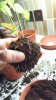 20160427_223730.jpg