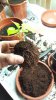 20160427_230939.jpg
