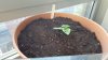 20160510_070407.jpg 20160510_070407.jpg