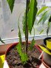 20160520_114807.jpg 20160520_114807.jpg
