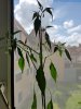 20160520_114757.jpg 20160520_114757.jpg