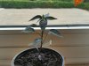 20160522_143633-800x600.jpg