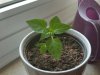 20160522_143622-640x480.jpg