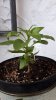 20160525_203100.jpg