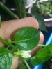 20160526_171545.jpg