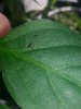 20160526_171555.jpg