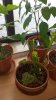 IMG-20160530-WA0003.jpg