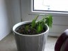 20160602_164846_8_bestshot-640x480.jpg
