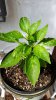 20160604_162229.jpg