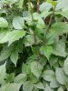IMG_20160606_174715145.jpg