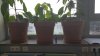 20160615_134432.jpg