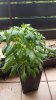 20160620_182742.jpg 20160620_182742.jpg