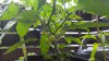 20160620_182816.jpg 20160620_182816.jpg