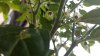 20160620_182908.jpg 20160620_182908.jpg
