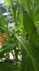 20160620_182754.jpg 20160620_182754.jpg
