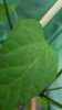 20160620_184611.jpg
