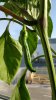 20160627_070853.jpg 20160627_070853.jpg