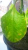 20160627_104351.jpg