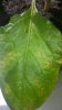20160627_104400.jpg
