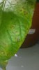 20160627_104435.jpg