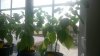20160627_113841.jpg