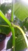 20160627_113859.jpg