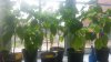 20160627_113910.jpg