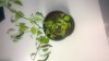 WP_20160627_15_33_03_Pro.jpg