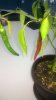 WP_20160627_15_33_11_Pro.jpg