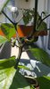 20160628_125600.jpg