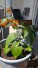 20160628_125616.jpg