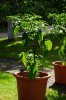 Image00016.jpg