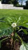 20160707_181936.jpg