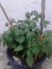 20160709_200740.jpg