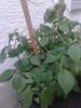 20160709_200733.jpg