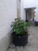20160709_200726.jpg