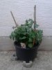 20160709_200718.jpg