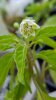 20160707_172719.jpg