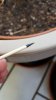 20160707_173452.jpg